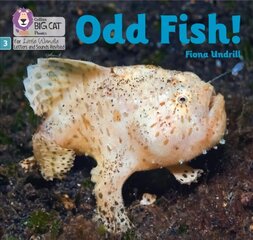 Odd Fish!: Phase 3 Set 1 cena un informācija | Grāmatas pusaudžiem un jauniešiem | 220.lv