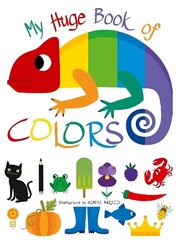 My Huge Book of Colors цена и информация | Книги для малышей | 220.lv