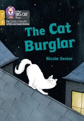 Cat Burglar: Phase 5 Set 1 cena un informācija | Grāmatas pusaudžiem un jauniešiem | 220.lv