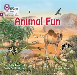 Animal Fun: Foundations for Phonics цена и информация | Книги для подростков и молодежи | 220.lv