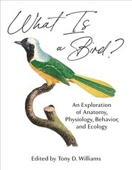 What Is a Bird?: An Exploration of Anatomy, Physiology, Behavior, and Ecology цена и информация | Книги по экономике | 220.lv