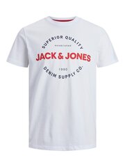 Jack & Jones мужская футболка 12235234*04, белый 5715426264817 цена и информация | Мужские футболки | 220.lv