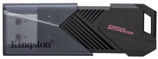 USB-накопитель Kingston DataTraveler Exodia Onyx, 128 ГБ, 3.2 Gen 1 цена и информация | USB накопители | 220.lv