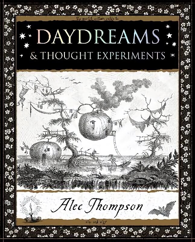 Daydreams: & Thought Experiments цена и информация | Sociālo zinātņu grāmatas | 220.lv