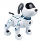 Tālvadības robots-suns cena un informācija | Rotaļlietas zēniem | 220.lv