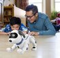 Tālvadības robots-suns cena un informācija | Rotaļlietas zēniem | 220.lv