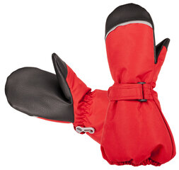 Зимние Hofler рукавички, полностью водонепроницаемые цена и информация | Зимняя одежда для детей | 220.lv