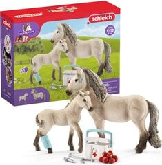 Figūriņu komplekts Schleich Horse Club 42430 cena un informācija | Rotaļlietas meitenēm | 220.lv