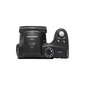 Kodak PixPro AZ255 cena un informācija | Digitālās fotokameras | 220.lv