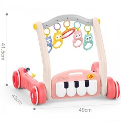 Толкатель и коврик Woopie 2в1 цена и информация | Игрушки для малышей | 220.lv