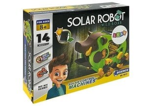 Interaktīvs robots Lean Toys, zaļš cena un informācija | Rotaļlietas zēniem | 220.lv