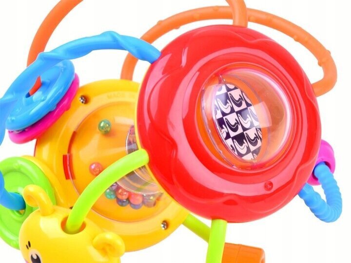 Izglītojoša spirāle ar bumbiņām Hola цена и информация | Rotaļlietas zīdaiņiem | 220.lv