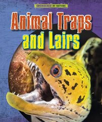 Animal Traps and Lairs цена и информация | Книги для подростков и молодежи | 220.lv