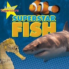 Fish Superstars cena un informācija | Grāmatas pusaudžiem un jauniešiem | 220.lv