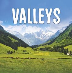 Valleys цена и информация | Книги для подростков и молодежи | 220.lv