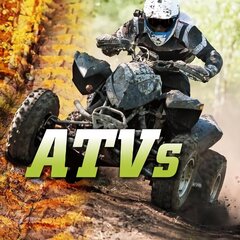 ATVs цена и информация | Книги для подростков и молодежи | 220.lv