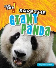 Save the Giant Panda cena un informācija | Grāmatas pusaudžiem un jauniešiem | 220.lv