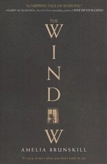 Window цена и информация | Книги для подростков  | 220.lv