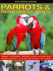 Exploring Nature: Parrots & Rainforest Birds cena un informācija | Grāmatas pusaudžiem un jauniešiem | 220.lv