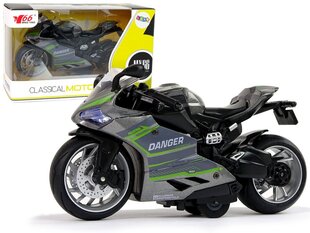 Sportinis motociklas su garso ir šviesos efektais, 1:12, pilkas/žalias цена и информация | Конструктор автомобилей игрушки для мальчиков | 220.lv