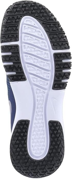 Sporta apavi vīriešiem Nike Flex Control TR 4, zili цена и информация | Sporta apavi vīriešiem | 220.lv
