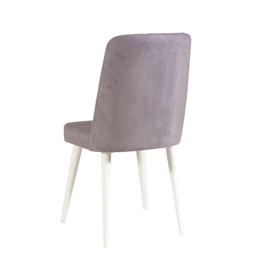 Krēsls Asir, 47x89x46cm, pelēks, balts cena un informācija | Virtuves un ēdamistabas krēsli | 220.lv