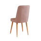 Krēsls Asir, 47x89x46cm, rozā krāsā cena un informācija | Virtuves un ēdamistabas krēsli | 220.lv