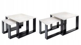 Kafijas galdiņu komplekts Lehmann Loft Retro Bench, 60x60x42 cm, balts cena un informācija | Žurnālgaldiņi | 220.lv