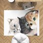 Bērnu paklājs Kitty, 100x150cm cena un informācija | Paklāji | 220.lv