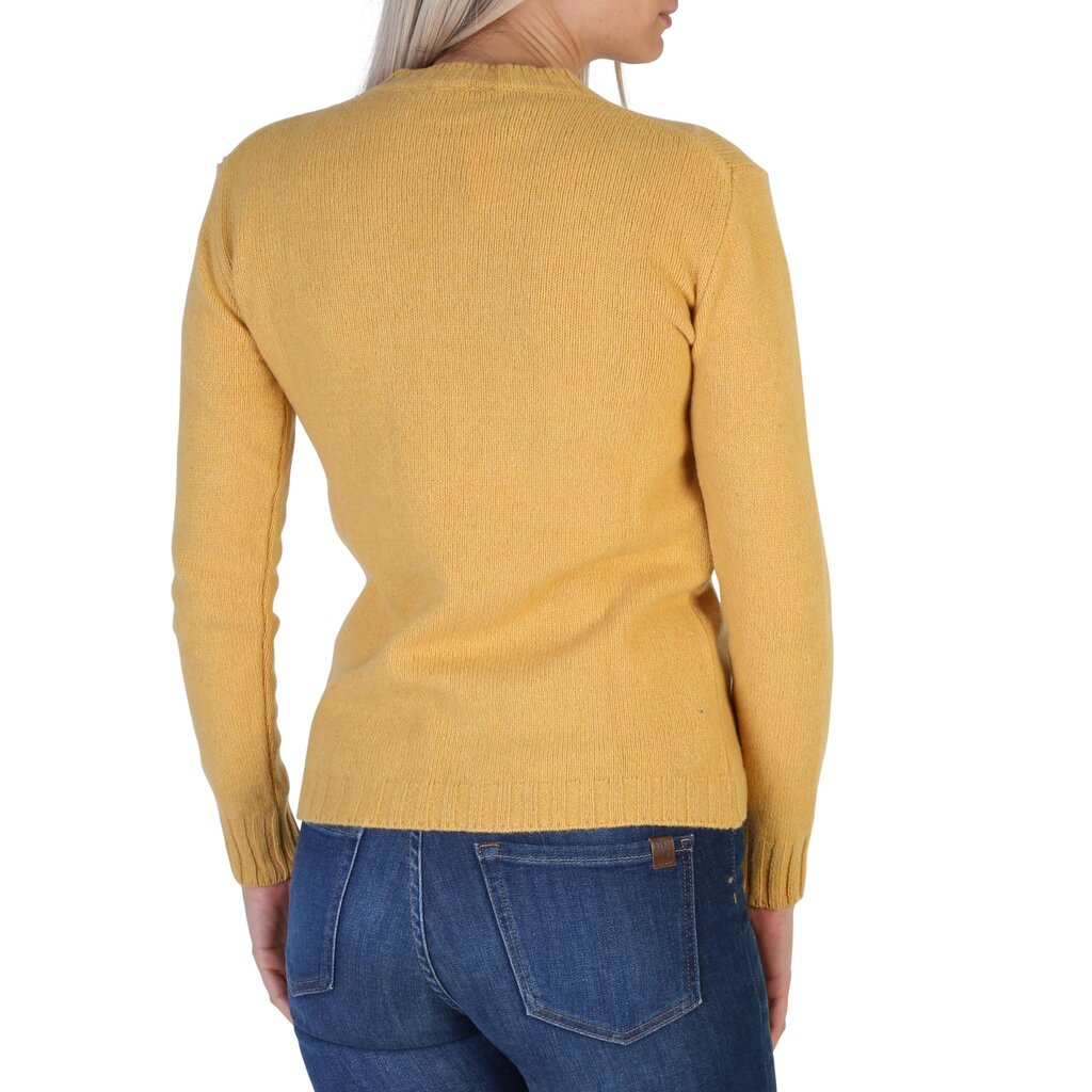 Džemperis sievietēm Italy, dzeltens cena un informācija | Sieviešu džemperi | 220.lv