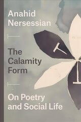 Calamity Form On Poetry and Social Life цена и информация | Книги по социальным наукам | 220.lv