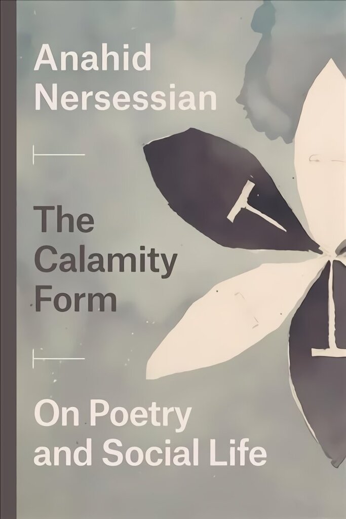 Calamity Form On Poetry and Social Life цена и информация | Sociālo zinātņu grāmatas | 220.lv