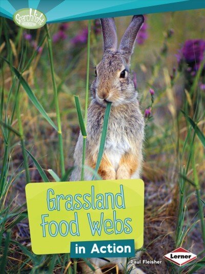 Grassland Food Webs in Action цена и информация | Grāmatas pusaudžiem un jauniešiem | 220.lv