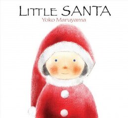 Little Santa цена и информация | Книги для подростков  | 220.lv