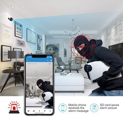 Mini kamera Smurf Security cena un informācija | Novērošanas kameras | 220.lv