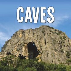 Caves цена и информация | Книги для подростков и молодежи | 220.lv