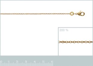 Цепочка с золотым покрытием 750°, Mon tresor цена и информация | Украшения на шею | 220.lv