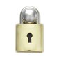 Crocs™ PADLOCK DANGLE G1133500-MU 303789 cena un informācija | Iešļūcenes, čības sievietēm | 220.lv