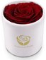 Ideja dāvanai, snaudoša roze greznā kastītē цена и информация | Stabilizētās rozes, augi | 220.lv