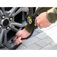 Dunlop digitālais inflators ar manometru, 1 gab. цена и информация | Dunlop Автотовары | 220.lv