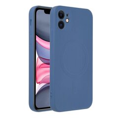 Oem iPhone 11 цена и информация | Чехлы для телефонов | 220.lv