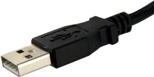 StarTech USBPNLAFAM2 цена и информация | Адаптеры и USB разветвители | 220.lv