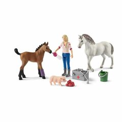 Figūriņu komplekta Veterināra vizīte Schleich Farm World 42486 cena un informācija | Rotaļlietas meitenēm | 220.lv