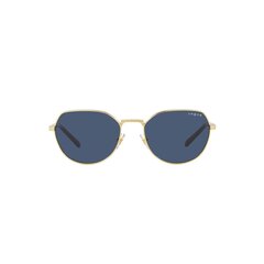 Солнцезащитные очки для женщин Vogue 4242S S7265313 цена и информация | Женские солнцезащитные очки | 220.lv