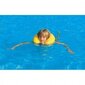 Ūdens apkakle bērniem цена и информация | Peldvestes, peldēšanas piedurknes | 220.lv