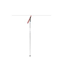 Distanču slēpošanas nūjas Apollo, 110 cm cena un informācija | Distanču slēpošanas nūjas | 220.lv