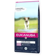 Eukanuba Grain Free Puppy mazu/vidēju šķirņu kucēniem, ar zivīm, 12kg cena un informācija | Sausā barība suņiem | 220.lv