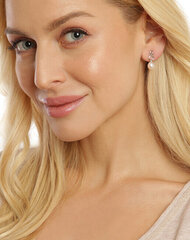 Tērauda auskari sievietēm JwL Luxury Pearls JL0683 sJL0683 cena un informācija | Auskari | 220.lv