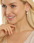 Sudraba auskari sievietēm JwL Luxury Pearls JL0685 sJL0685 cena un informācija | Auskari | 220.lv