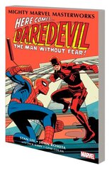 Mighty Marvel Masterworks: Daredevil Vol. 2 cena un informācija | Fantāzija, fantastikas grāmatas | 220.lv